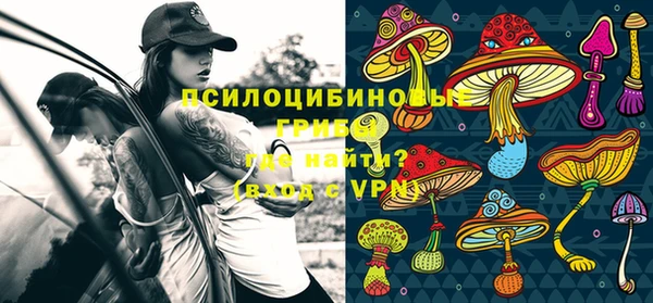прущие крисы Белоозёрский