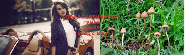 прущий лед Белокуриха