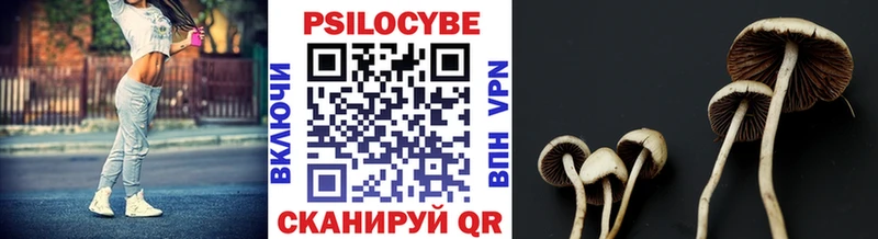 купить наркотик  Ясногорск  Псилоцибиновые грибы ЛСД 